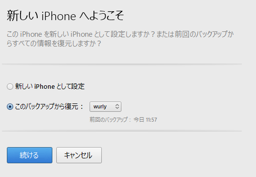 iTunes_iPhoneRestore1.png